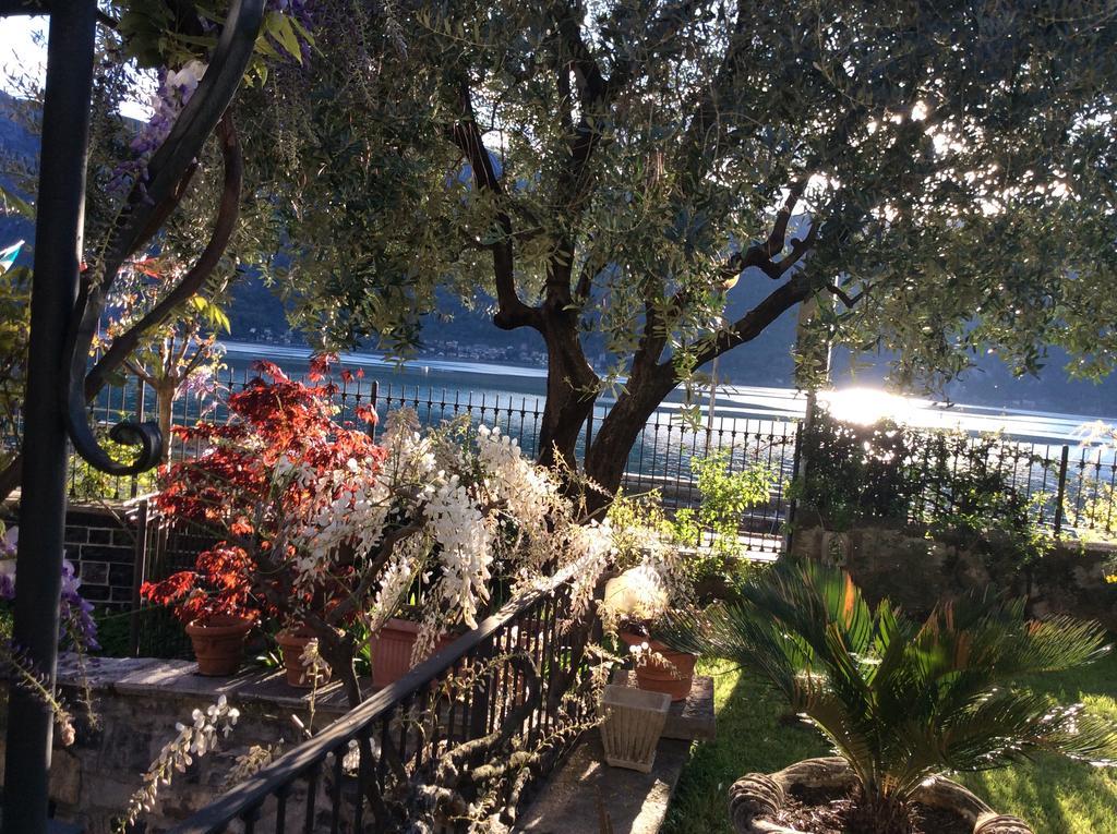 Frontelago Lago Di Como Mandello del Lario Zewnętrze zdjęcie